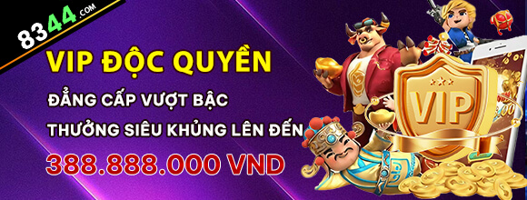 Hình ảnh quảng cáo của bomwin hiển thị nền tảng và các lợi ích