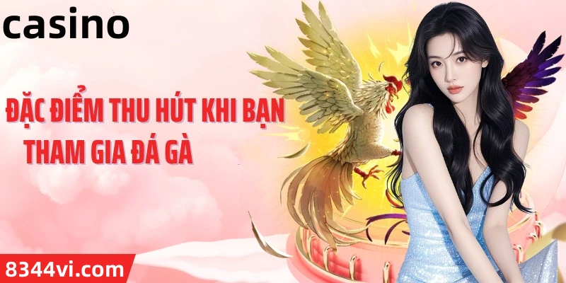 Hình ảnh quảng cáo của bomwin hiển thị nền tảng và các lợi ích