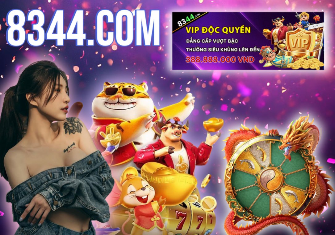Hình ảnh quảng cáo của bomwin hiển thị nền tảng và các lợi ích