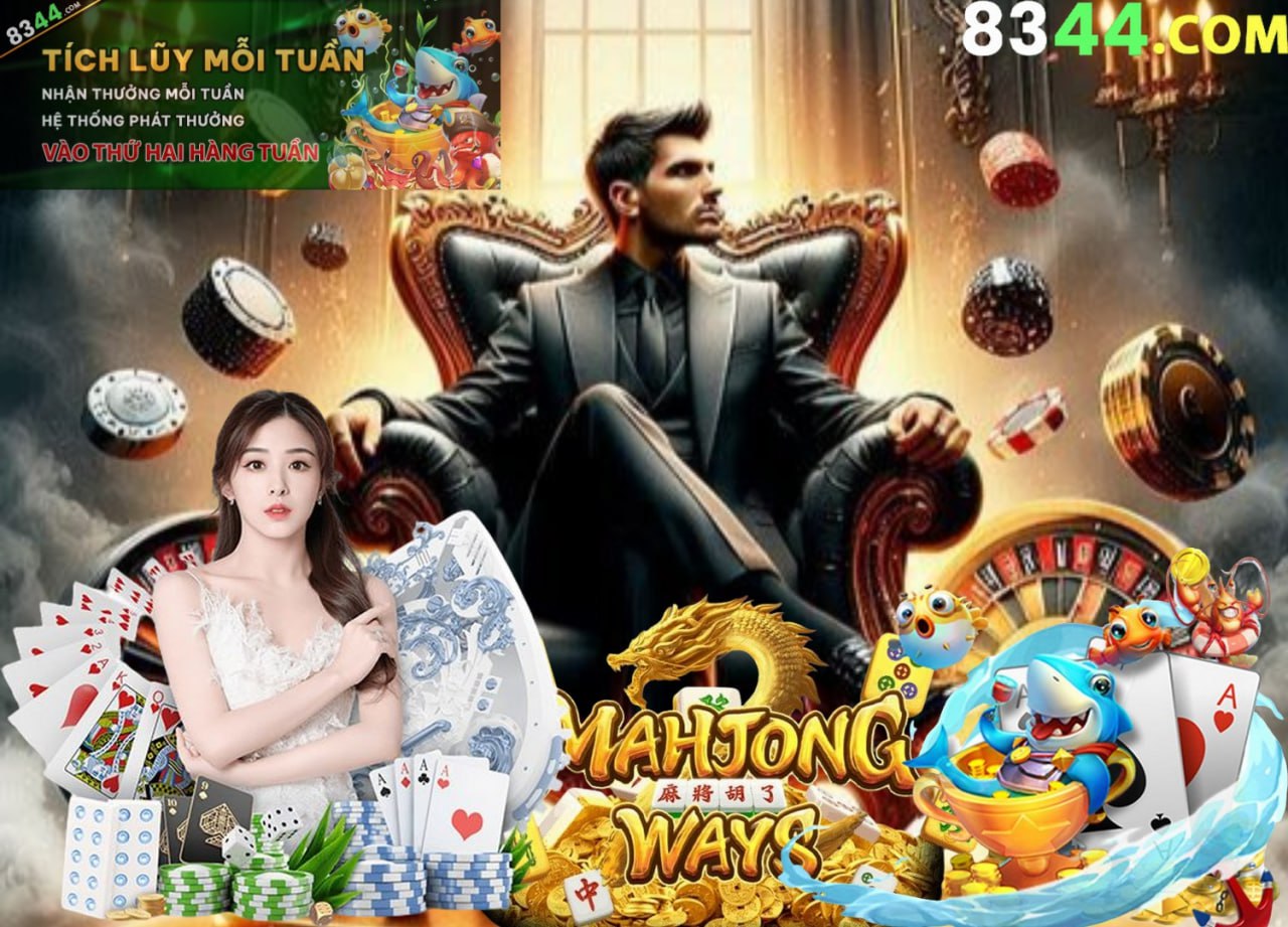 Hình ảnh quảng cáo của bomwin hiển thị nền tảng và các lợi ích
