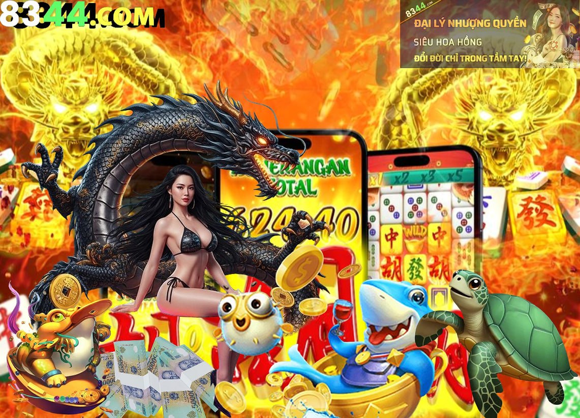Hình ảnh quảng cáo của bomwin hiển thị nền tảng và các lợi ích